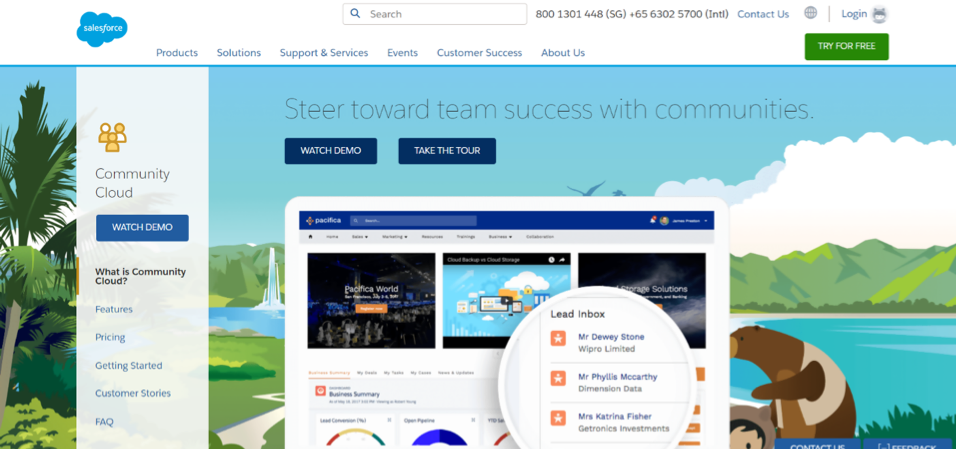Salesforce Sales Management